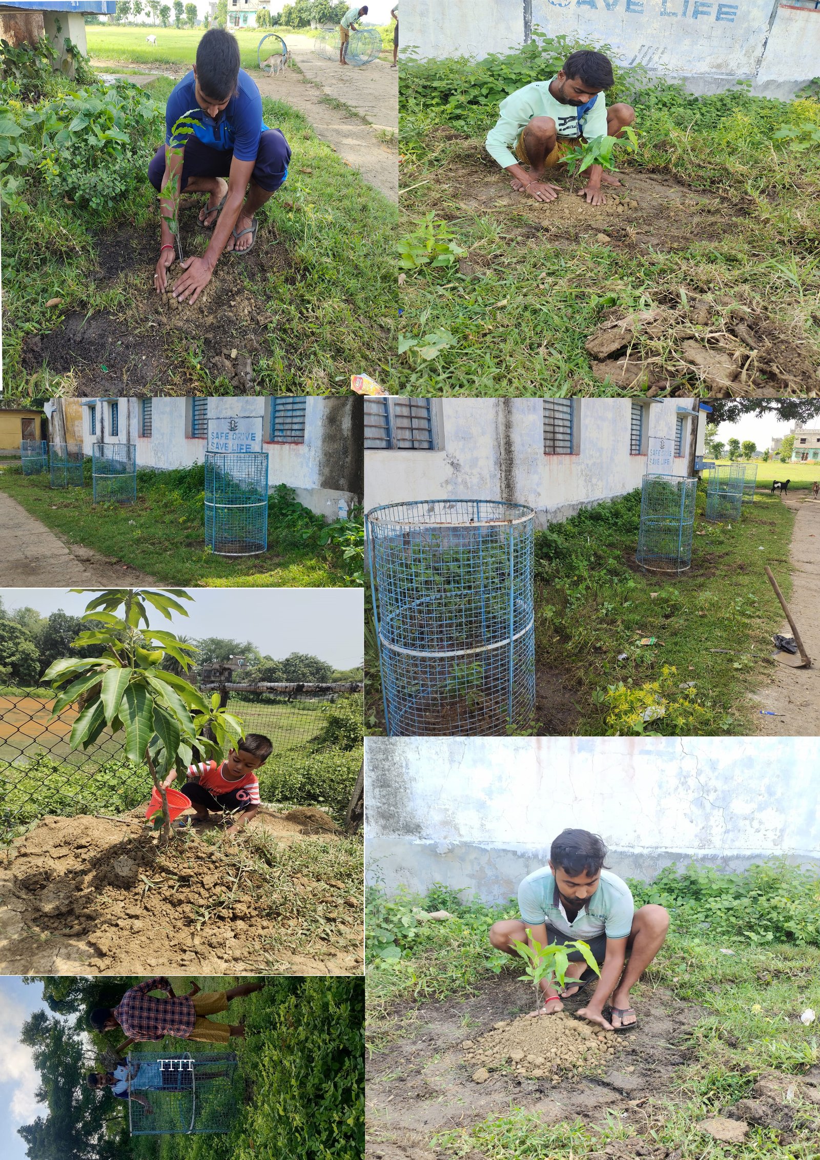 “Our Tree Plantation Programme Towards Building a Greener World.” 🌱🌳23-24